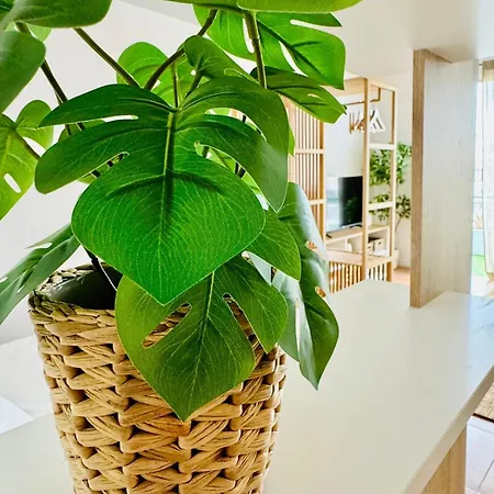 Oasis Tamaimo Apartamento Puerto de la Cruz (Tenerife)